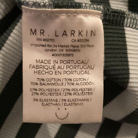 MR. Larkin Balloon Sleeve Seafoam Green Striped top - Picture 6 of 7